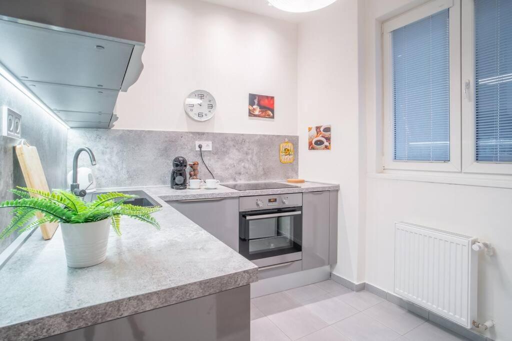 Sukromny Staromestsky Apartman V Uzasnej Lokalite/Cozy Old-Town Apartment In A Great Neighborhood Bratislava Buitenkant foto